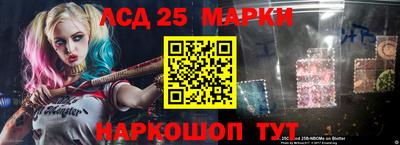 индика Аргун