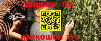 индика Аргун