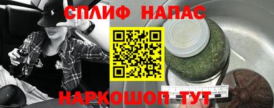 крисы Апшеронск