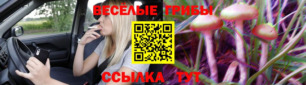 Галлюциногенные грибы Psilocybe Артём